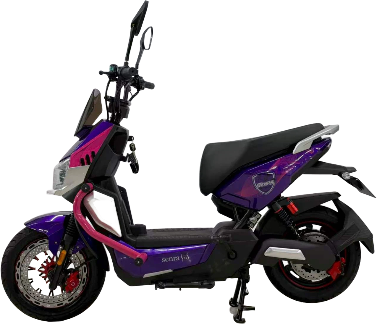 Panther morada